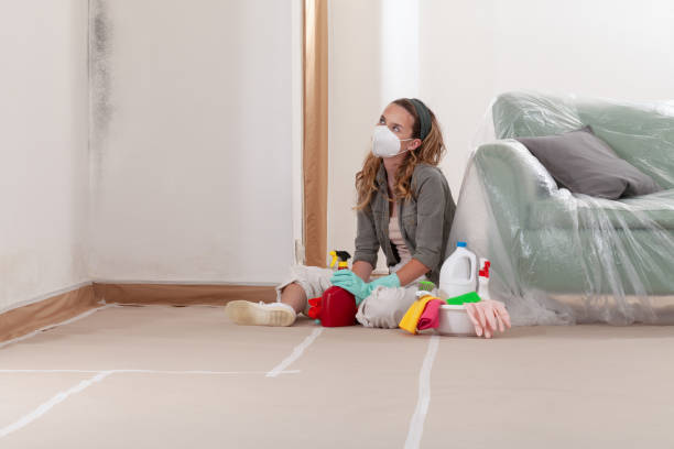 Reliable Mold Remediation contractor in Clifton, TX by WQB Mold Removal